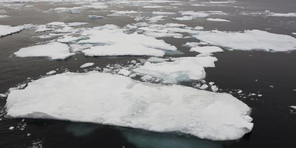 Arctic sea ice