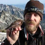 Researcher holding finch