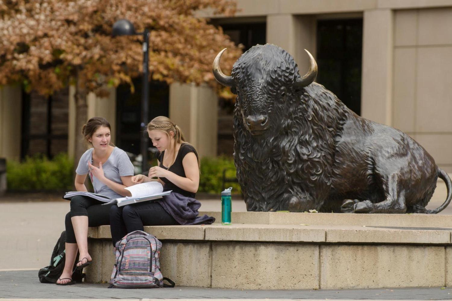 Two female students studying by the buffalo statue. 