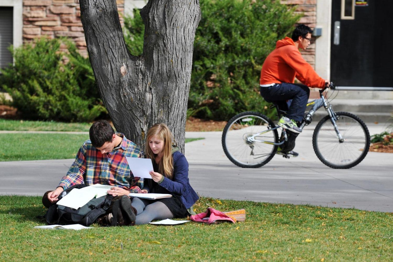 Two students studying outside under a tree. 