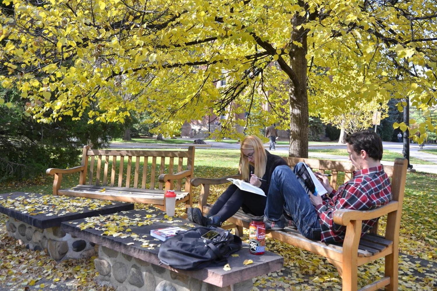 Two students studying outside on a bench. 