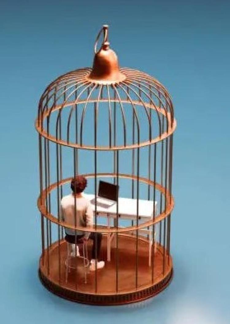 Prisoner in a birdcage image