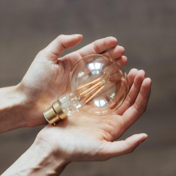 a pair of hands holds a lightbulb