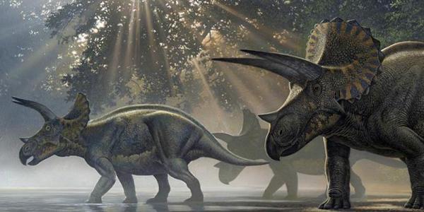 Artist rendering of Triceratops walking in jungle