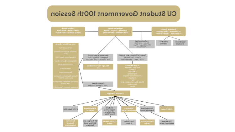 CUSG第100届会议组织结构图