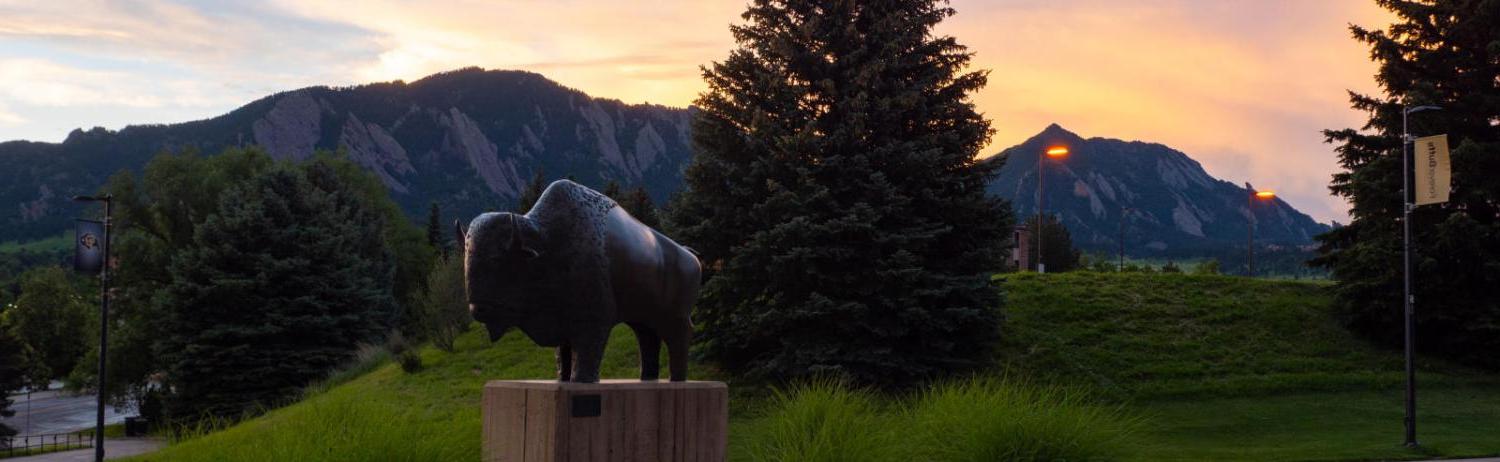 A statue of Ralphie at sunset with the Flatirons in the background.