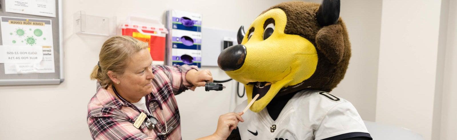 Chip getting evaluated by a health center professional