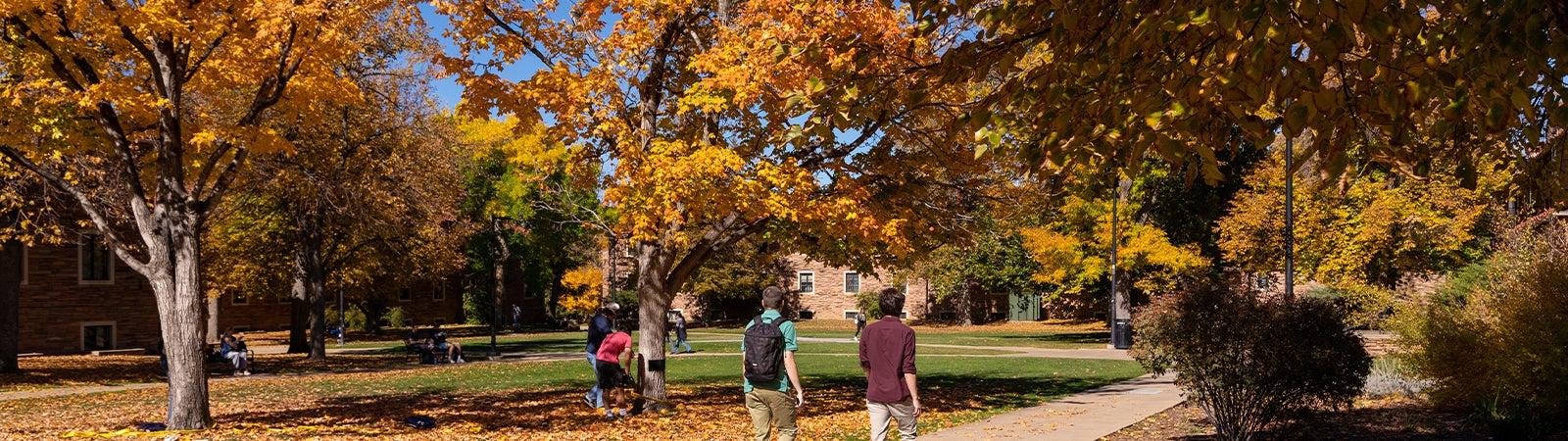 Fall on campus