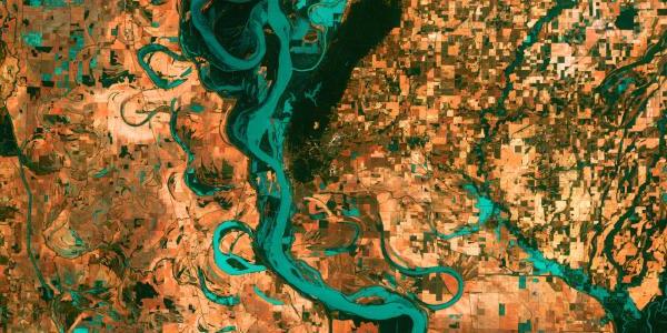 Satellite view of the graceful swirls and whorls of the Mississippi River