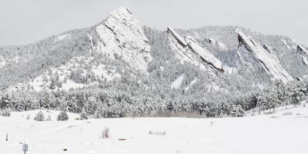 熨斗上覆盖着雪