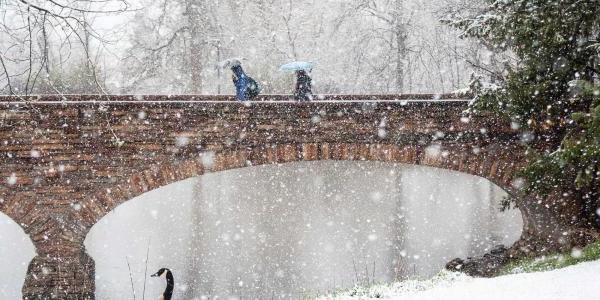 校园下雪