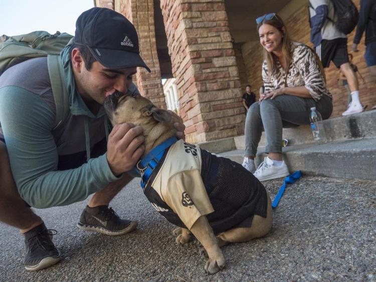 学生在校园里亲吻斗牛犬