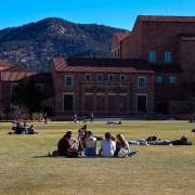 Students sitting in a circle outside