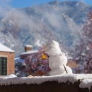 校园里的小雪人