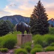 Buffalo sculpture on campus